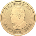 Gouden Maple Leaf munt 1 gram 2