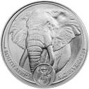 Platina Big Five Elephant munt 1 troy ounce 1