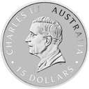 Platina Koala munt 1/10 troy ounce 2