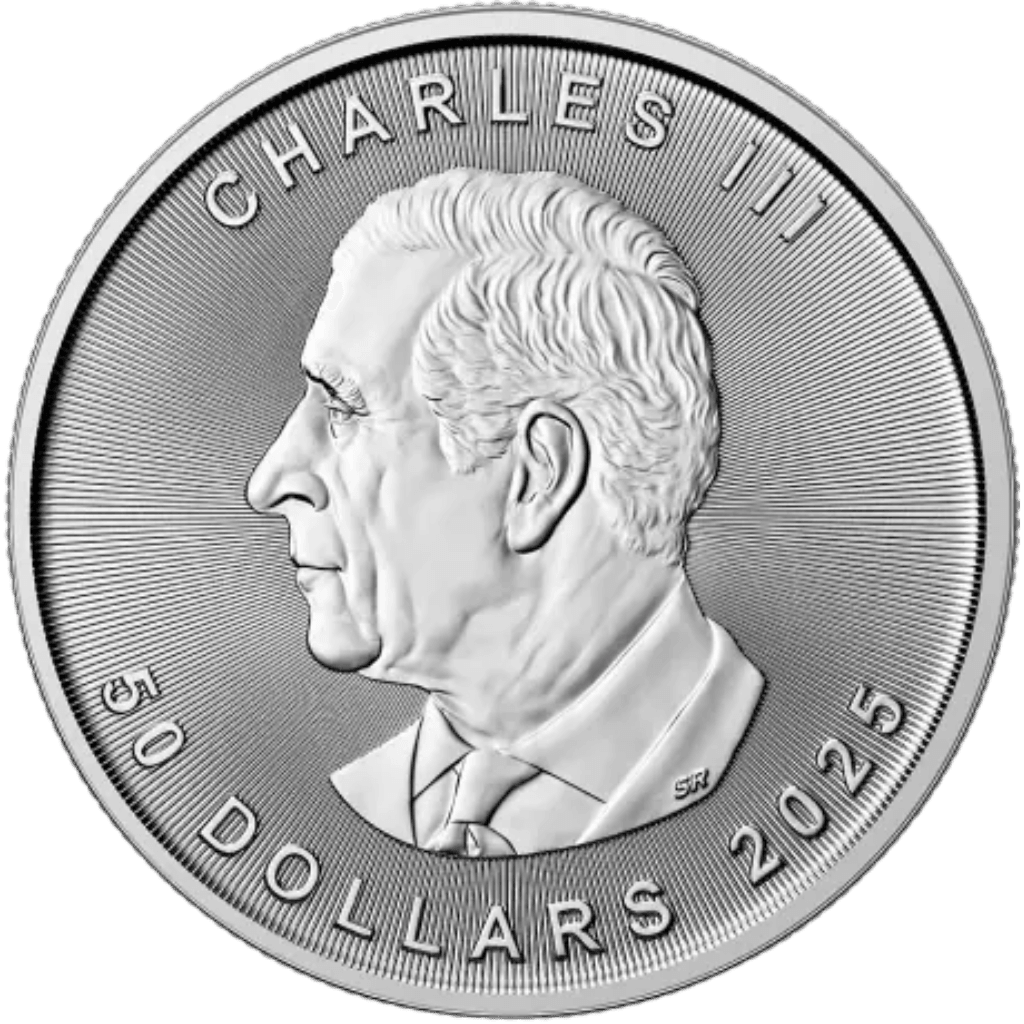 Platina Maple Leaf munt 1 troy ounce