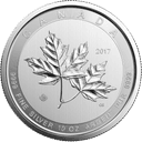Zilveren muntenmix 10 troy ounce 1