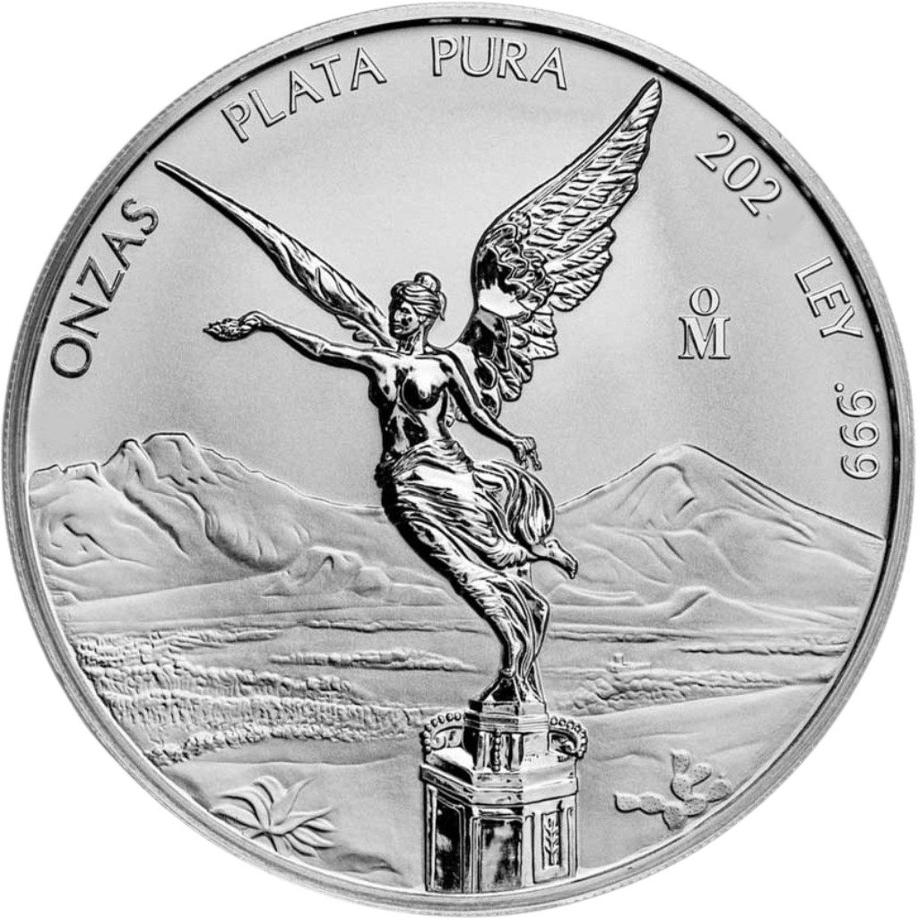 Zilveren muntenmix 1/2 troy ounce