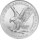 Zilveren American Eagle munt 1 troy ounce 2