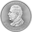 Zilveren Maple Leaf munt 1 troy ounce 2