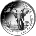 Zilveren Somalische Olifant munt 1 troy ounce 1