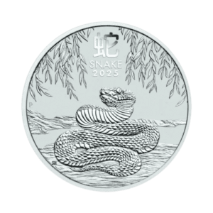 Year of the Snake 1 kilo zilveren munt 2025 voorkant