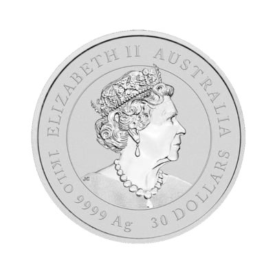 Year of the Tiger 1 kilo zilveren munt 2022 achterkant